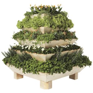 Plant Pyramid