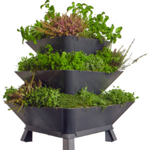 New Plant Pyramid